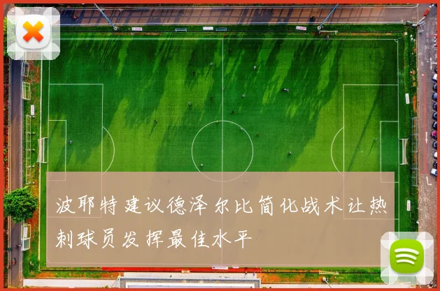 波耶特建议德泽尔比简化战术让热刺球员发挥最佳水平