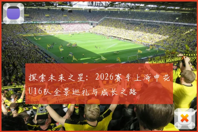 探索未来之星：2026赛季上海申花U16队全景巡礼与成长之路