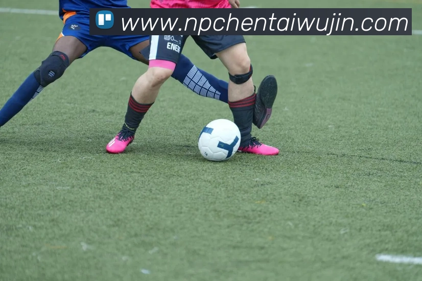 九游体育官网app登录APP 封面图