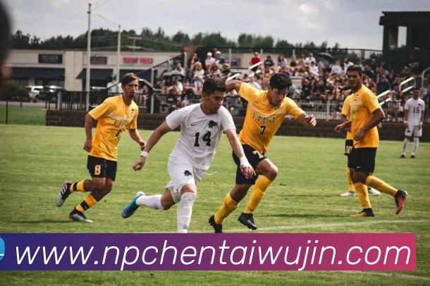 数据防护可视化